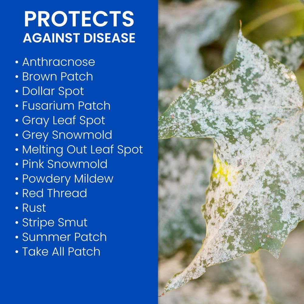 32 oz. Ready to Spray Fungus Control for Lawns and 10 lbs. Granules Fungus Control for Lawns - Hercitys