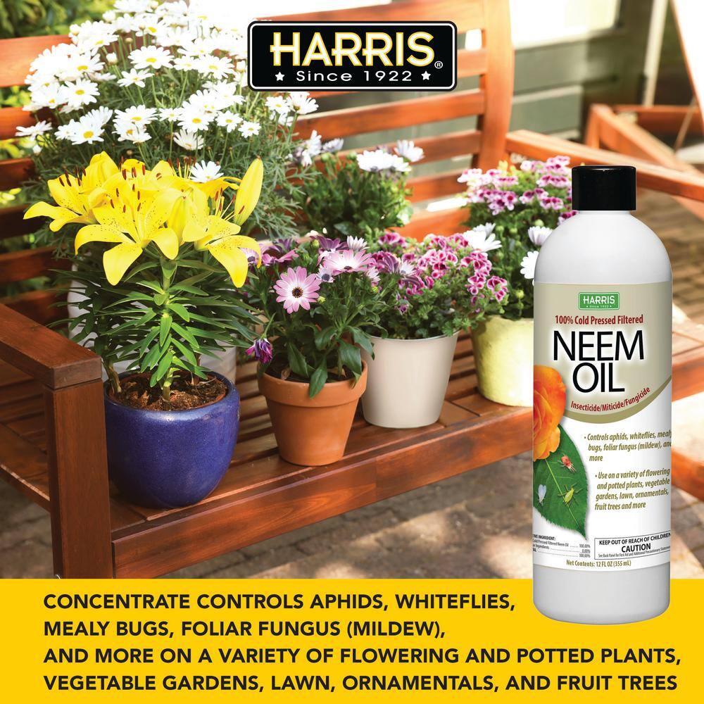 12 oz. 100% Cold Pressed Unrefined Cosmetic Grade Neem Oil (2-Pack) - Hercitys