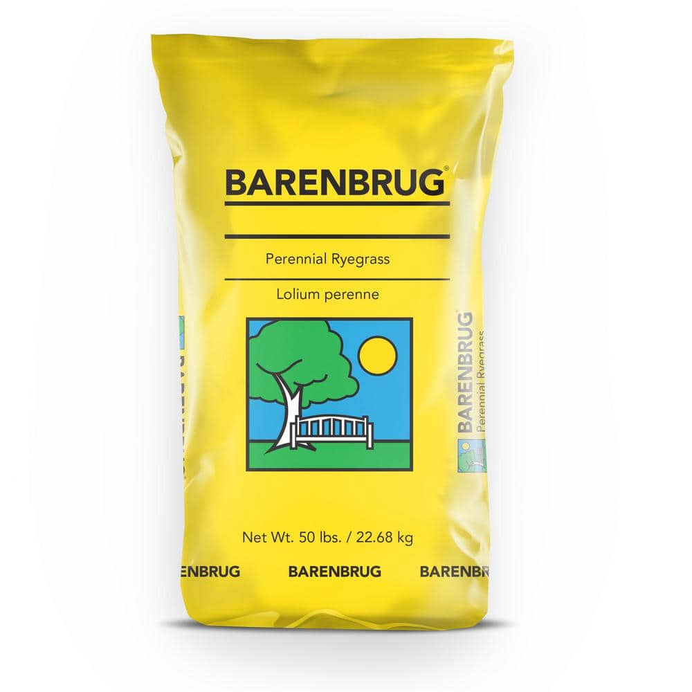 50 lb. Parkside Perennial Ryegrass Seed - Hercitys