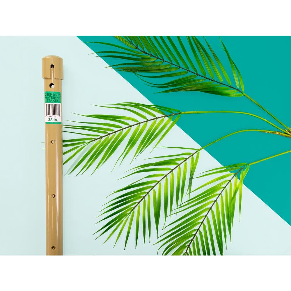 36 in. Watering Stake (3-Pack) - Hercitys