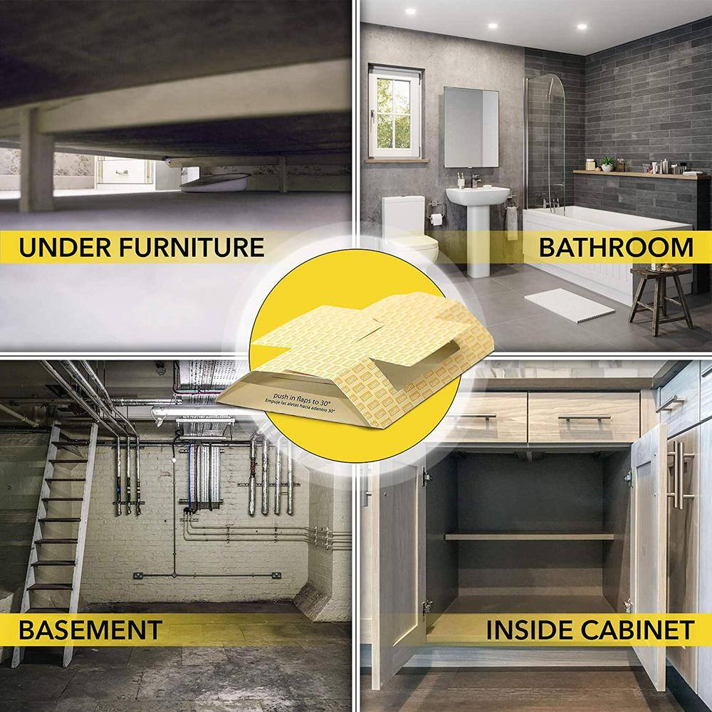 1 Gal. Roach Killer and Roach Trap Value Pack - Hercitys