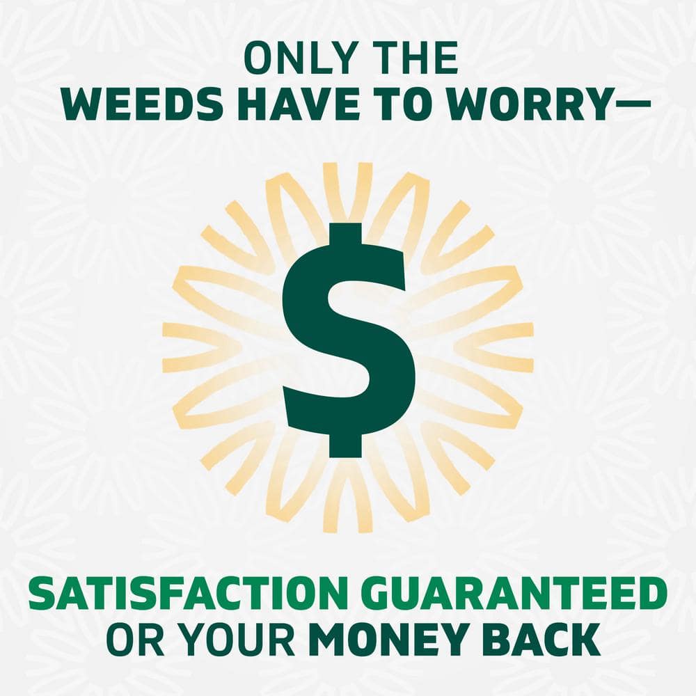 10 oz. EZ Aim Spray Weed and Grass Killer- Twin Pack - Hercitys