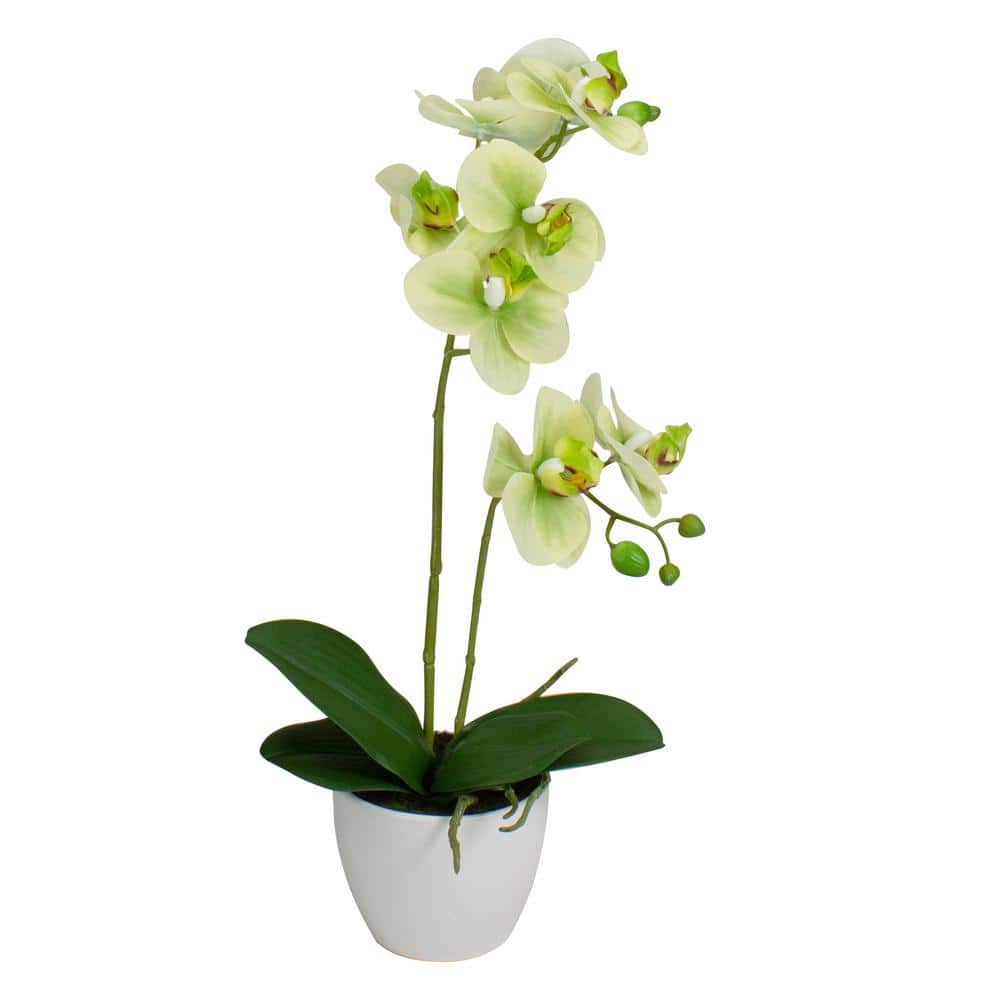 14 in. Ivory Green and White Artificial Orchid Potted Plant Tabletop Decor - Hercitys