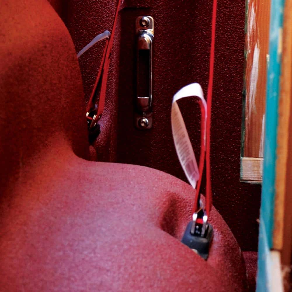 16 ft. x 2 ft. Ratchet Strap Kit with Hooks and Fasteners - Hercitys