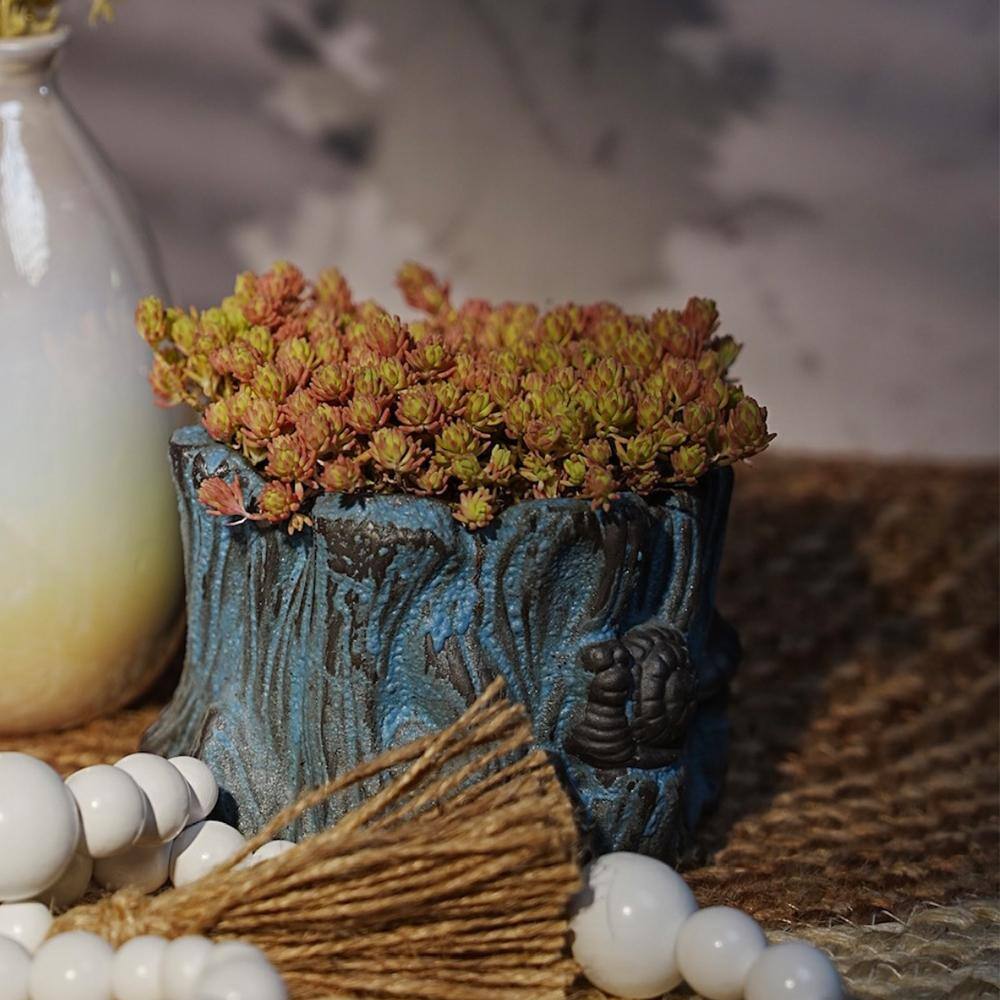 4 in. D x 3.5 in. H Non-Fragrant Sedum Blue Carpet with Pink Flowers (5-Pack) - Hercitys