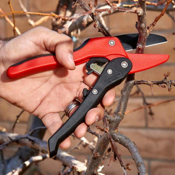 2.625 in. High Carbon Steel Blade with Co-Molded Non-Slip Handles Ratchet Hand Pruner - Hercitys