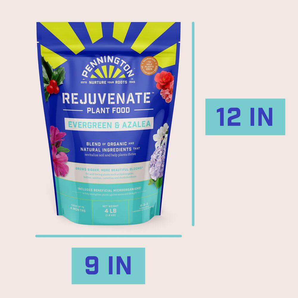 4 lbs. Rejuvenate Evergreen and Azalea Plant Food 4-3-3 - Hercitys
