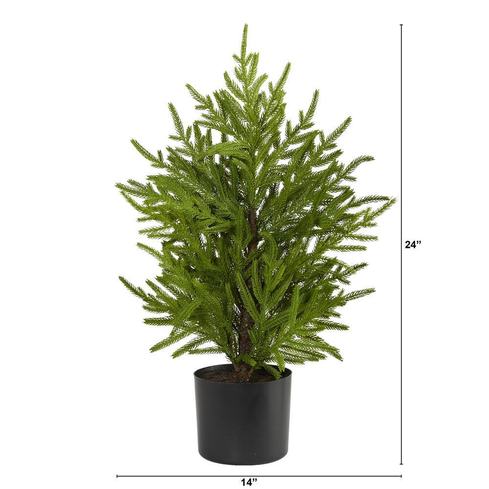 2 ft. Norfolk Island Pine Natural Look Artificial Tree in Decorative Planter - Hercitys