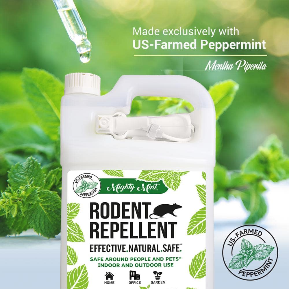 130 oz. Peppermint Oil Rodent Repellent Spray - Hercitys