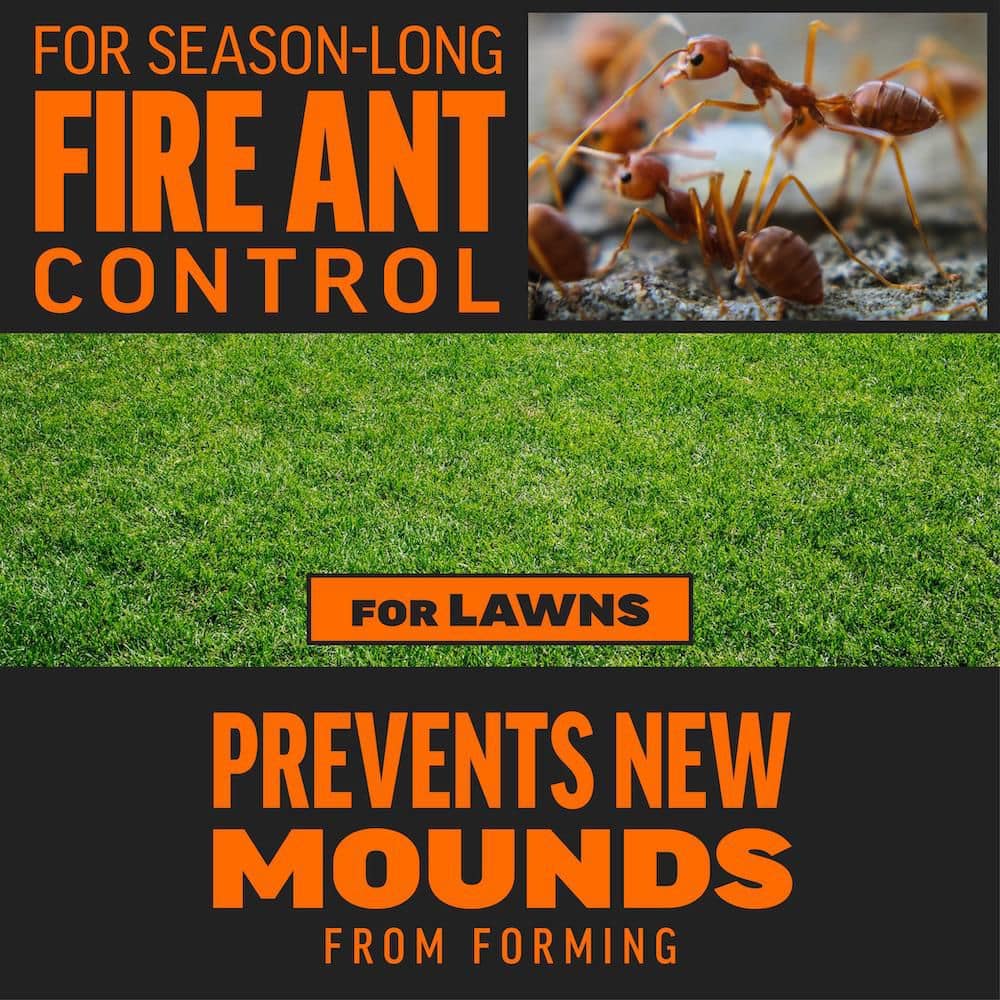 5 lb. 10,000 sq. ft. Outdoor Fire Ant Killer Granule Bait for Lawns - Hercitys