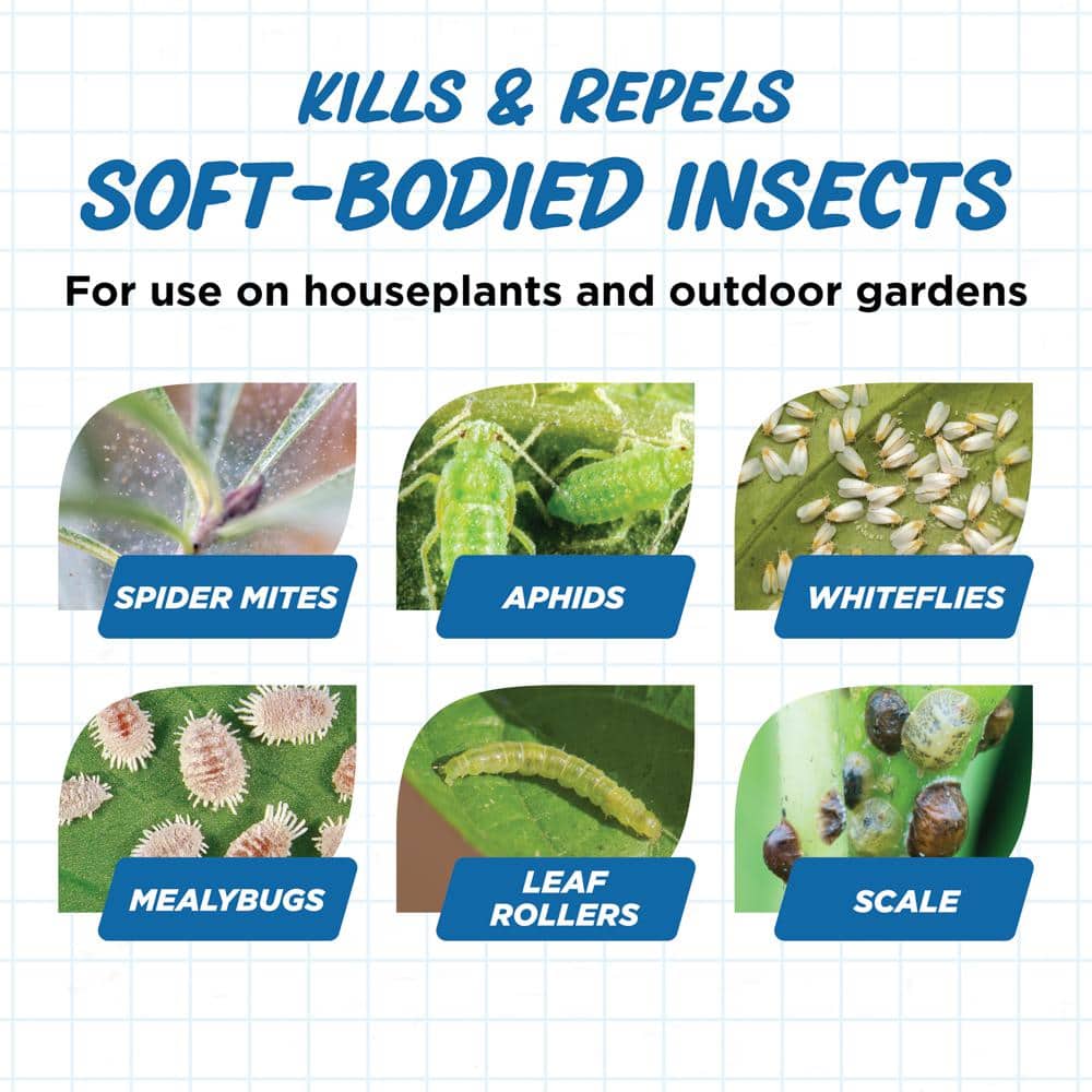 1 qt. Concentrate Miticide, Insect Control - Hercitys