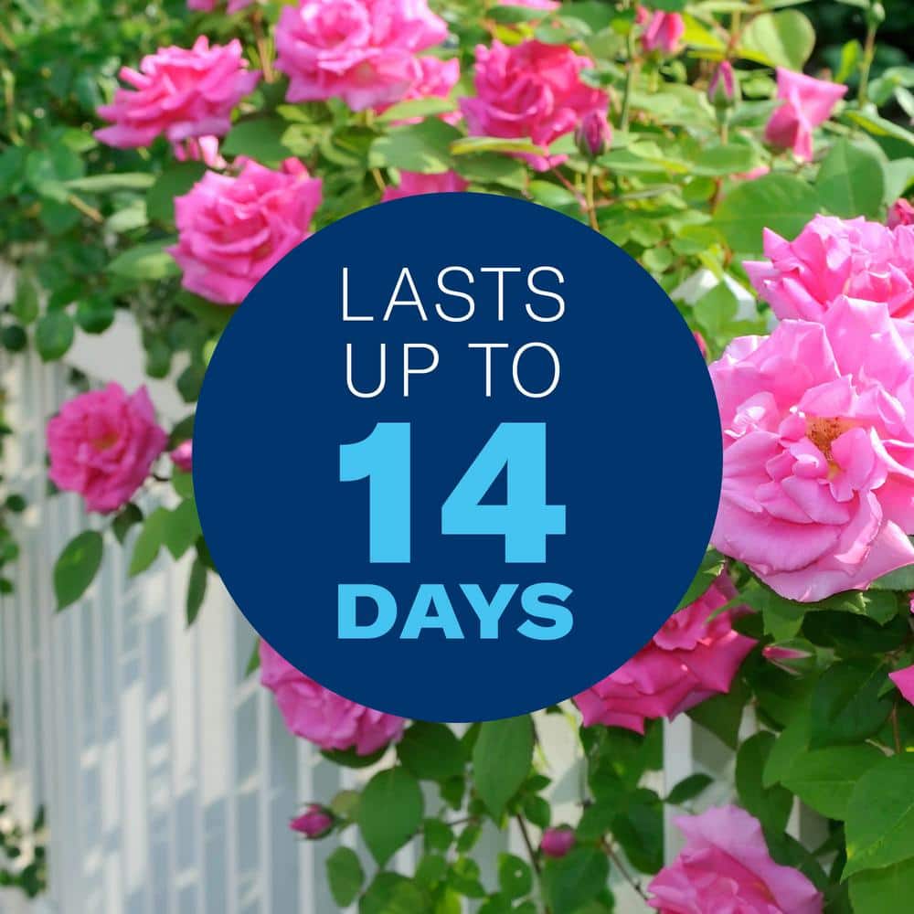 32 oz. Concentrate All-in-One Rose and Flower Insect Killer - Hercitys