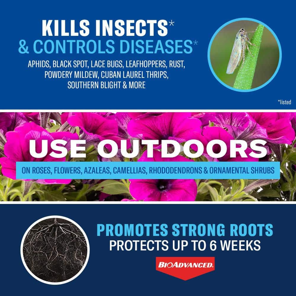 4 lbs. Granules Shrub Care Protect and Feed - Hercitys