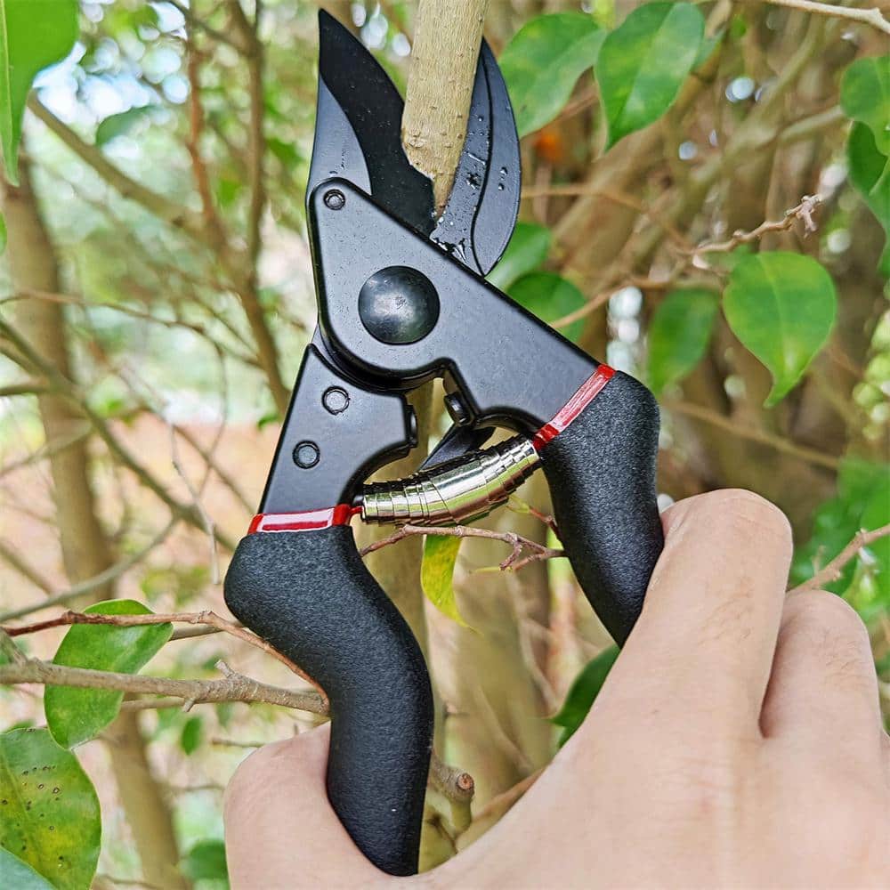 3/4 in. Cutting Capacity, High Carbon Steel Professional Pruning Shears - Hercitys