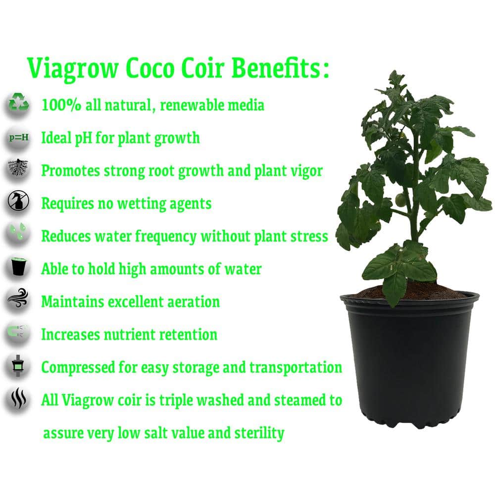 11 lb. (5KG) Coconut Coir Block of Soilless Media - Hercitys