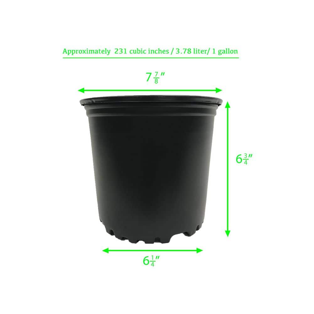 1 Gal. Black Plastic Nursery Pots (24-Pack) - Hercitys