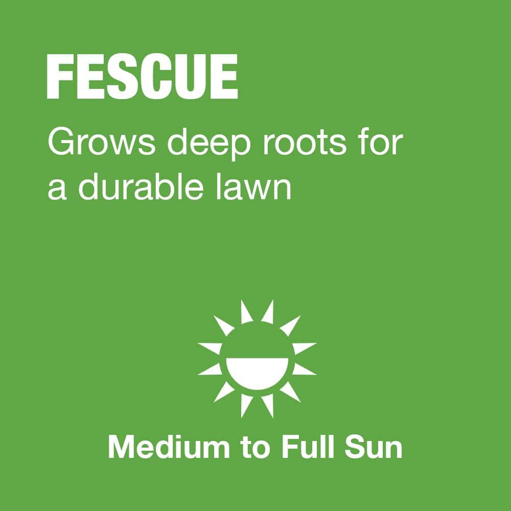 3 lbs. Tall Fescue Grass Seed Blend with Water Saver Seed Coating - Hercitys