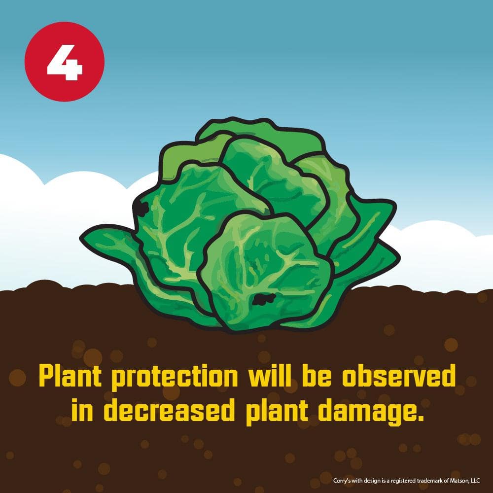 1.75 lbs. Slug and Snail Killer (2-Pack) - Hercitys