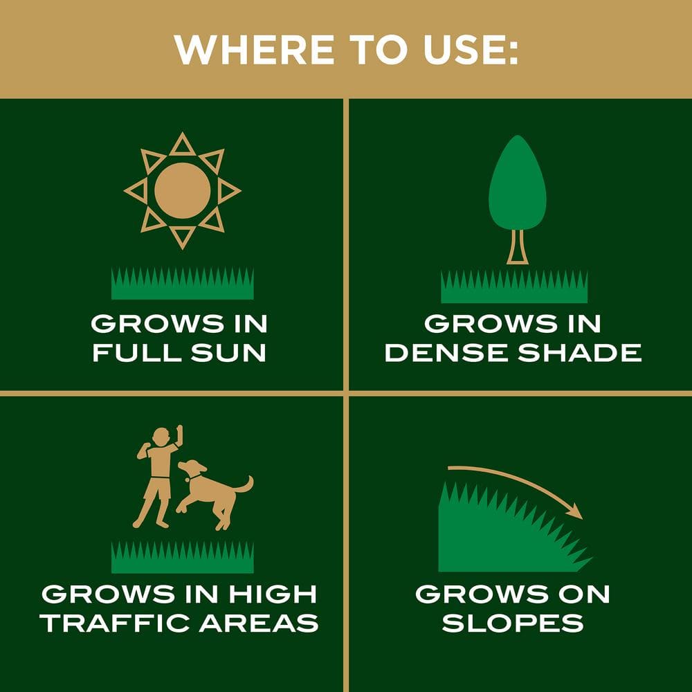 3.75 lb. EZ Seed Patch & Repair Sun and Shade Mulch, Grass Seed and Fertilizer Combination - Hercitys