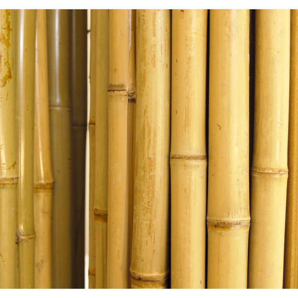 24 in. H x 96 in. L Natural Bamboo Fence - Hercitys