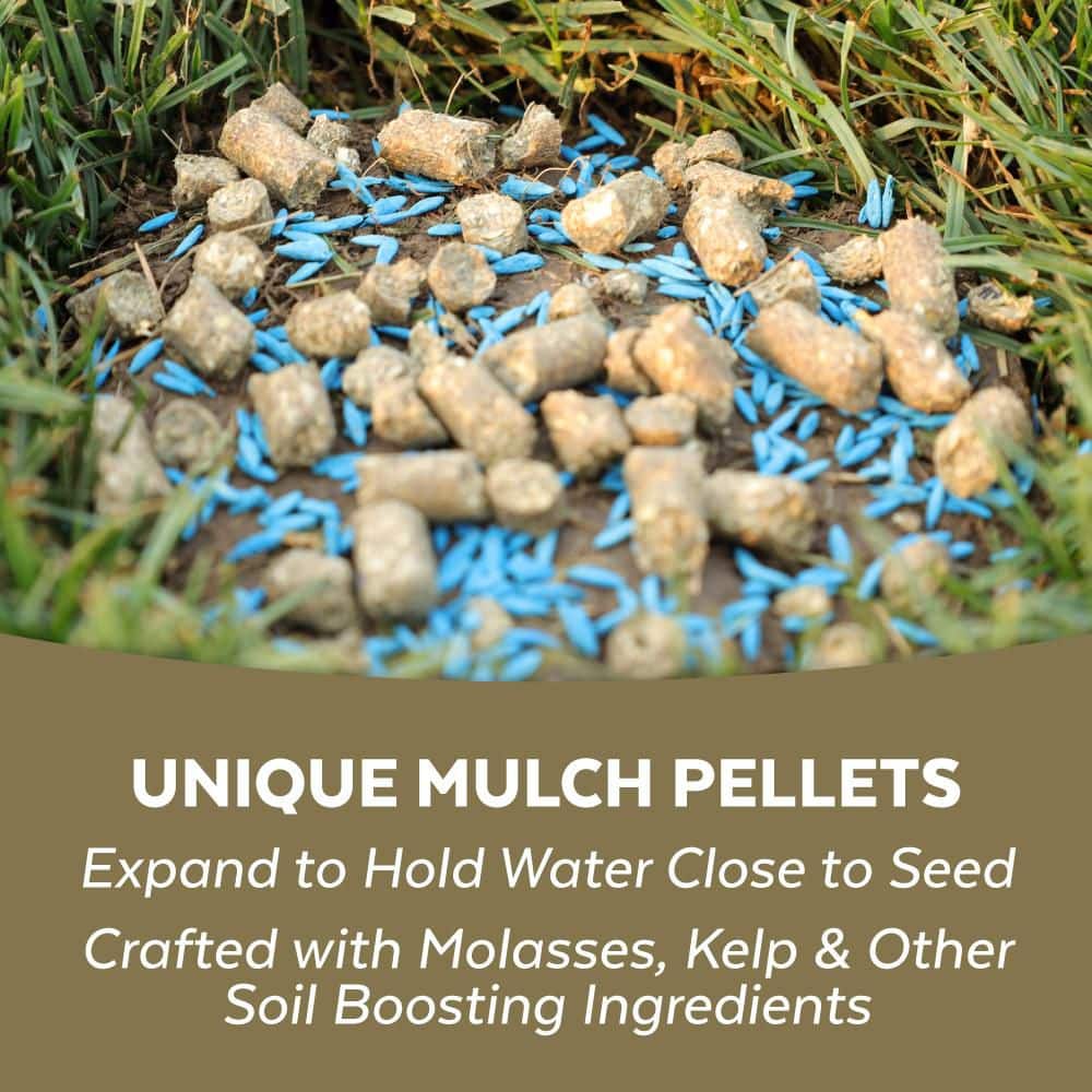 5 lbs. Sun and Shade Repair Mulch, Grass Seed and Fertilizer Combination - Hercitys