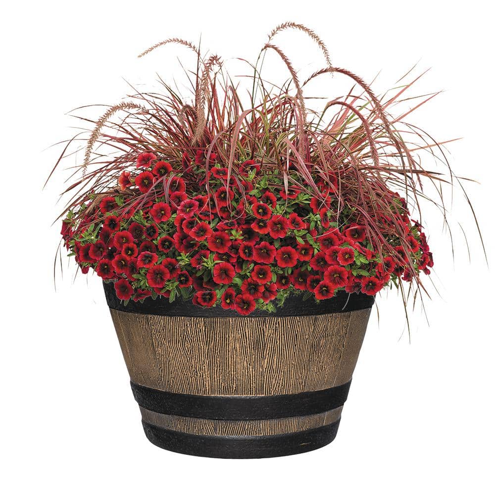 20.5 in. Dia x 12.25 in. H Kentucky Walnut Resin Whiskey Barrel - Hercitys