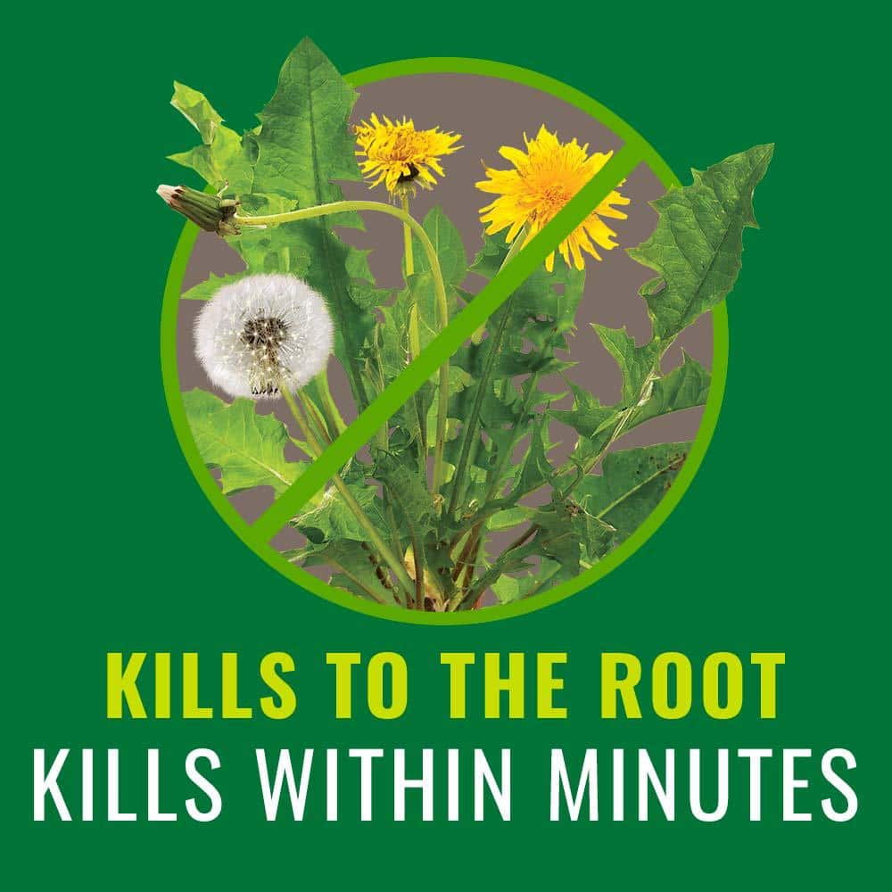 32 oz. Concentrate Grass and Weed Control with Root Kill - Hercitys