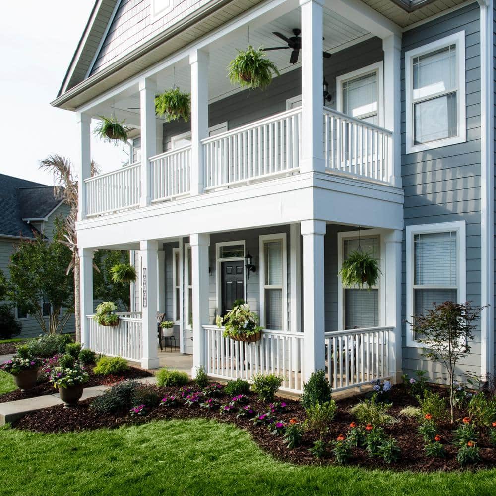 1.5 Gal. Boston Fern Green Hanging Basket Annual Plant (2-Pack) - Hercitys