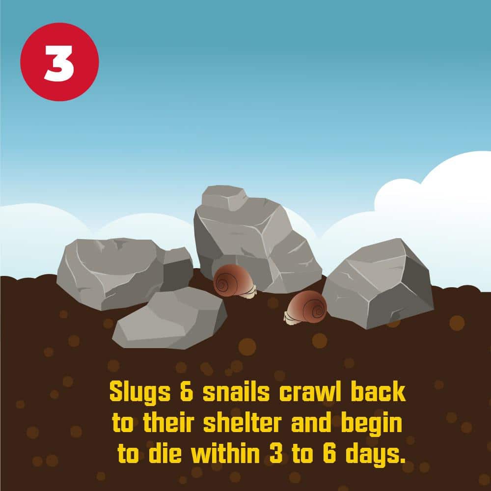 1.75 lbs. Slug and Snail Killer (2-Pack) - Hercitys