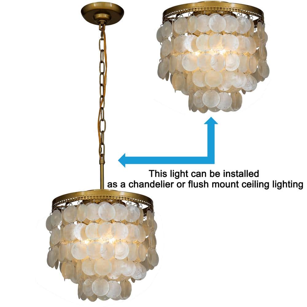 13in 3-Light Small Coastal Natural Capiz Seashell Flush Mount Lighting in Antique Brass - Hercitys