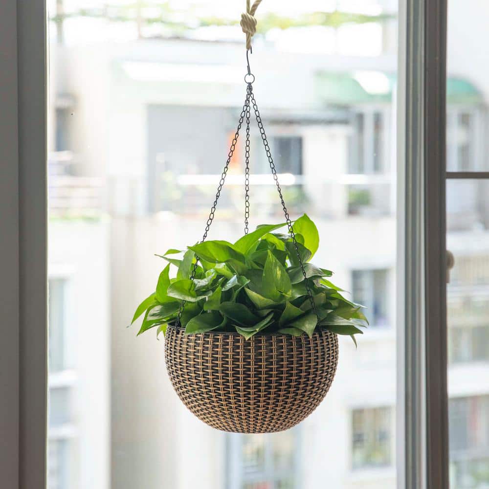 10 in. Self Watering Bronze Plastic Hanging Basket Flower Planter - Hercitys