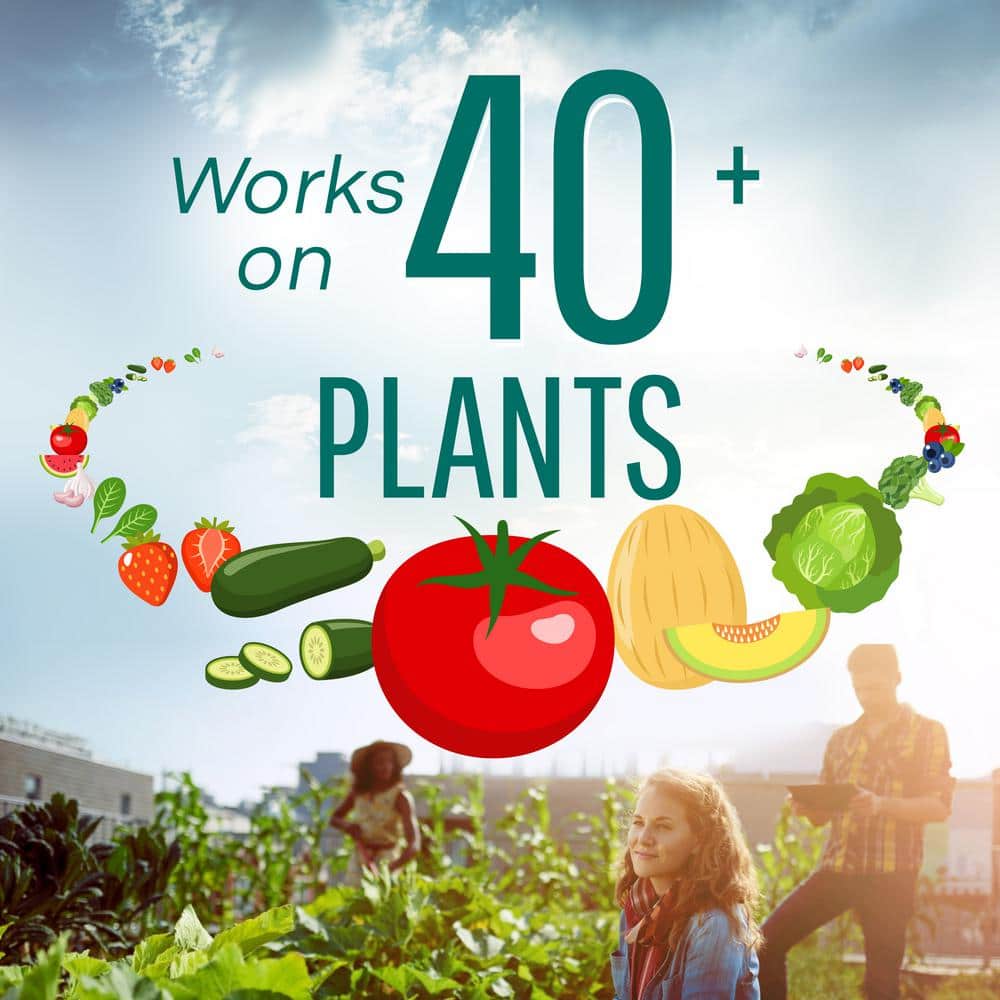 2 lb. Slug and Snail Killer Lawn and Garden Granules - Hercitys