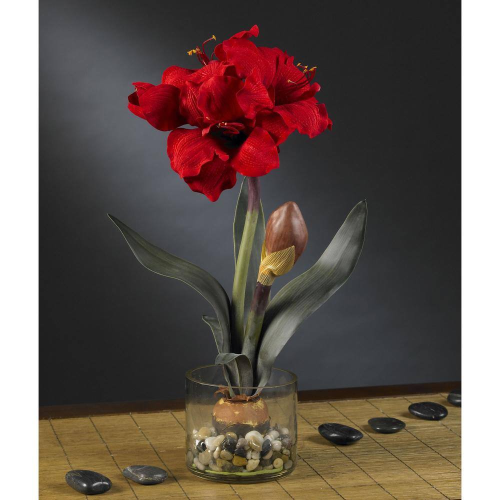 20in. Amaryllis with Vase - Hercitys