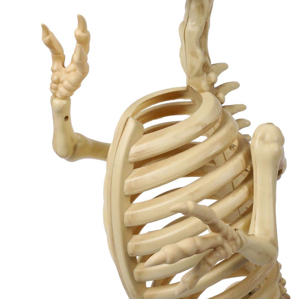 34 in. Animated T-Rex with LED Eyes - Hercitys