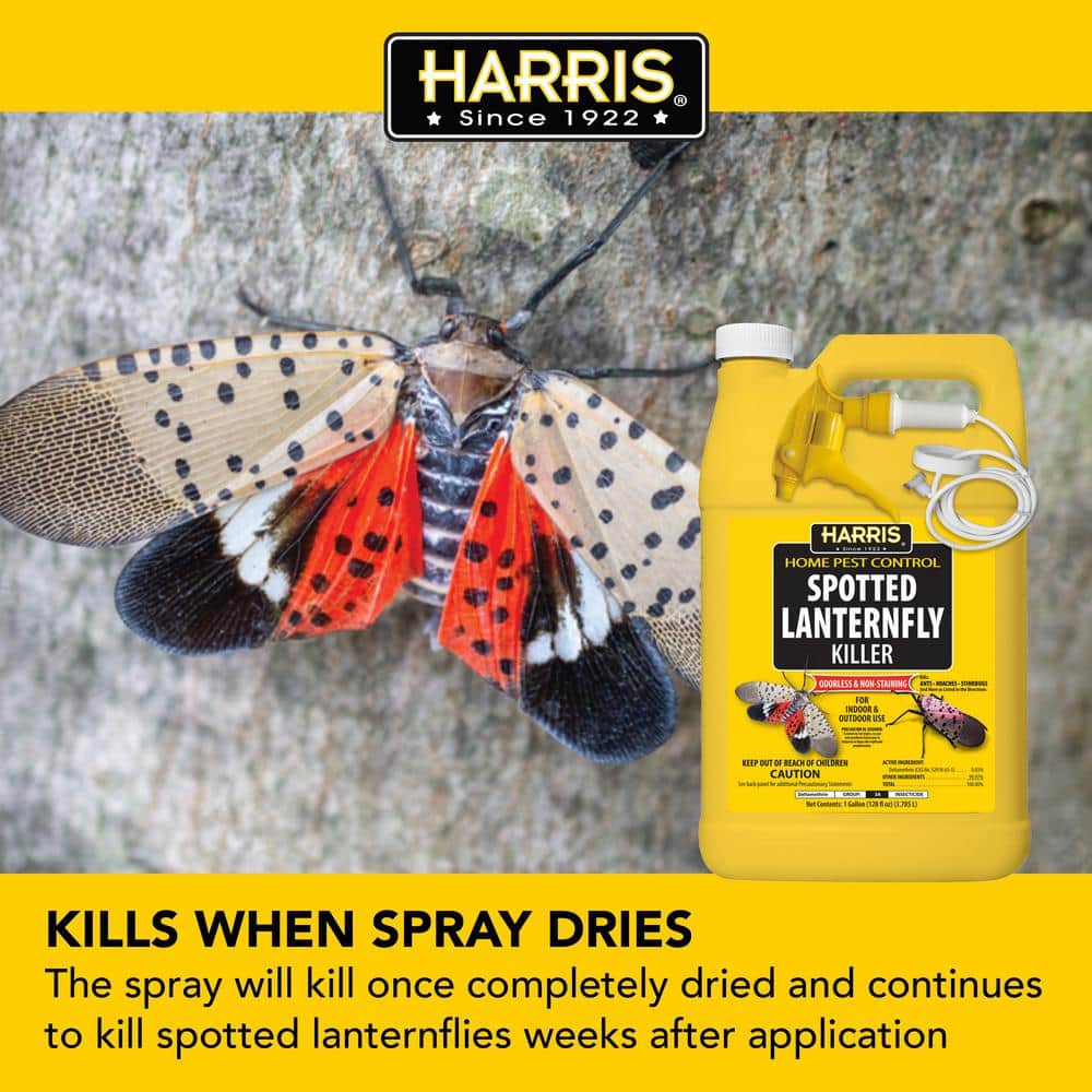 1 Gal. Spotted Lanternfly Killer (4-Pack) - Hercitys