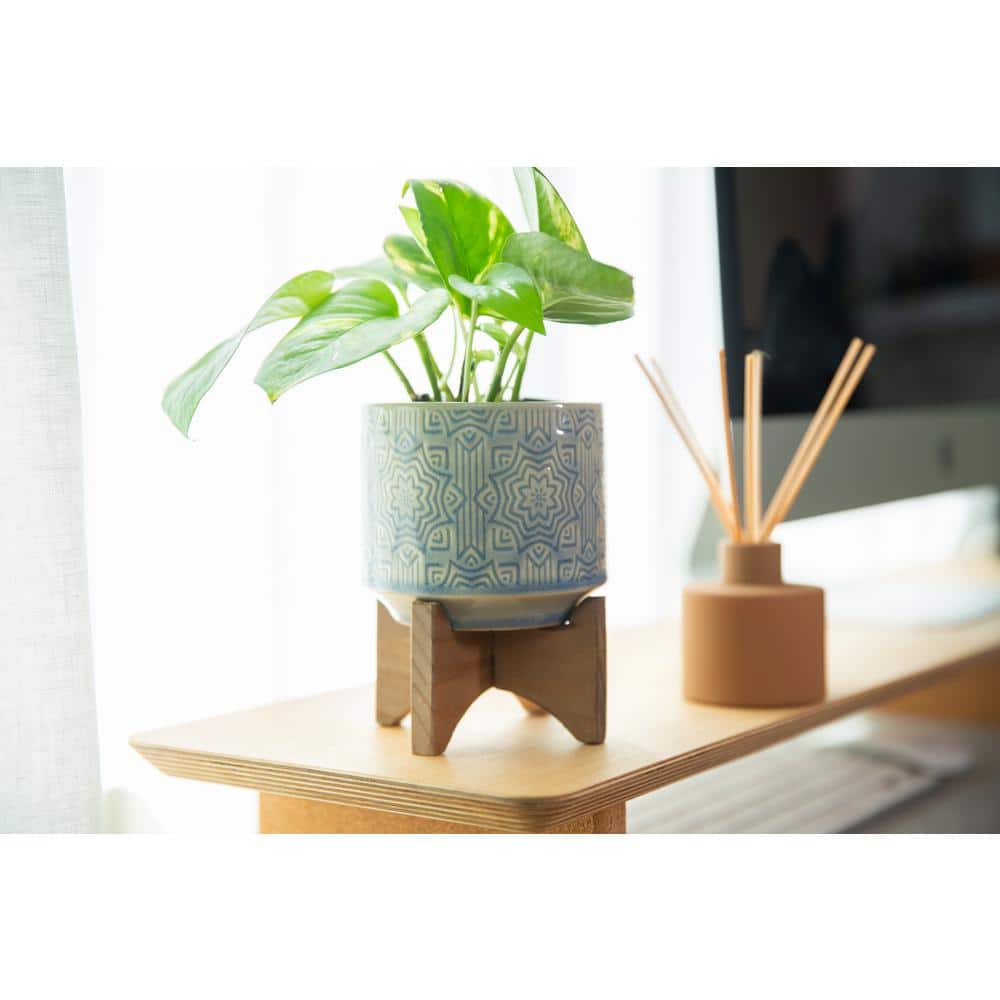 4.25 in. Glass Blue Star Ceramic Plant Pot on Wood Stand Mid-Century Planter - Hercitys