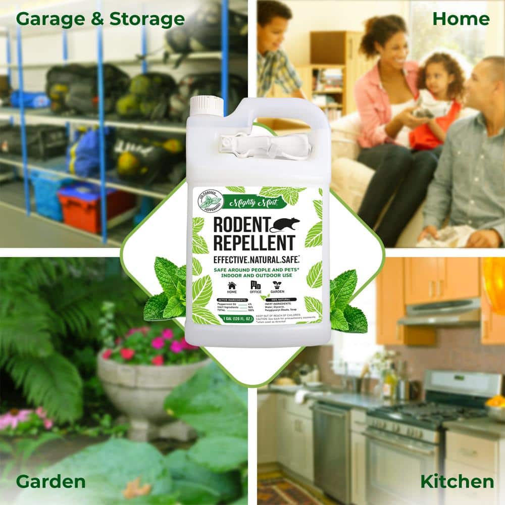130 oz. Peppermint Oil Rodent Repellent Spray - Hercitys