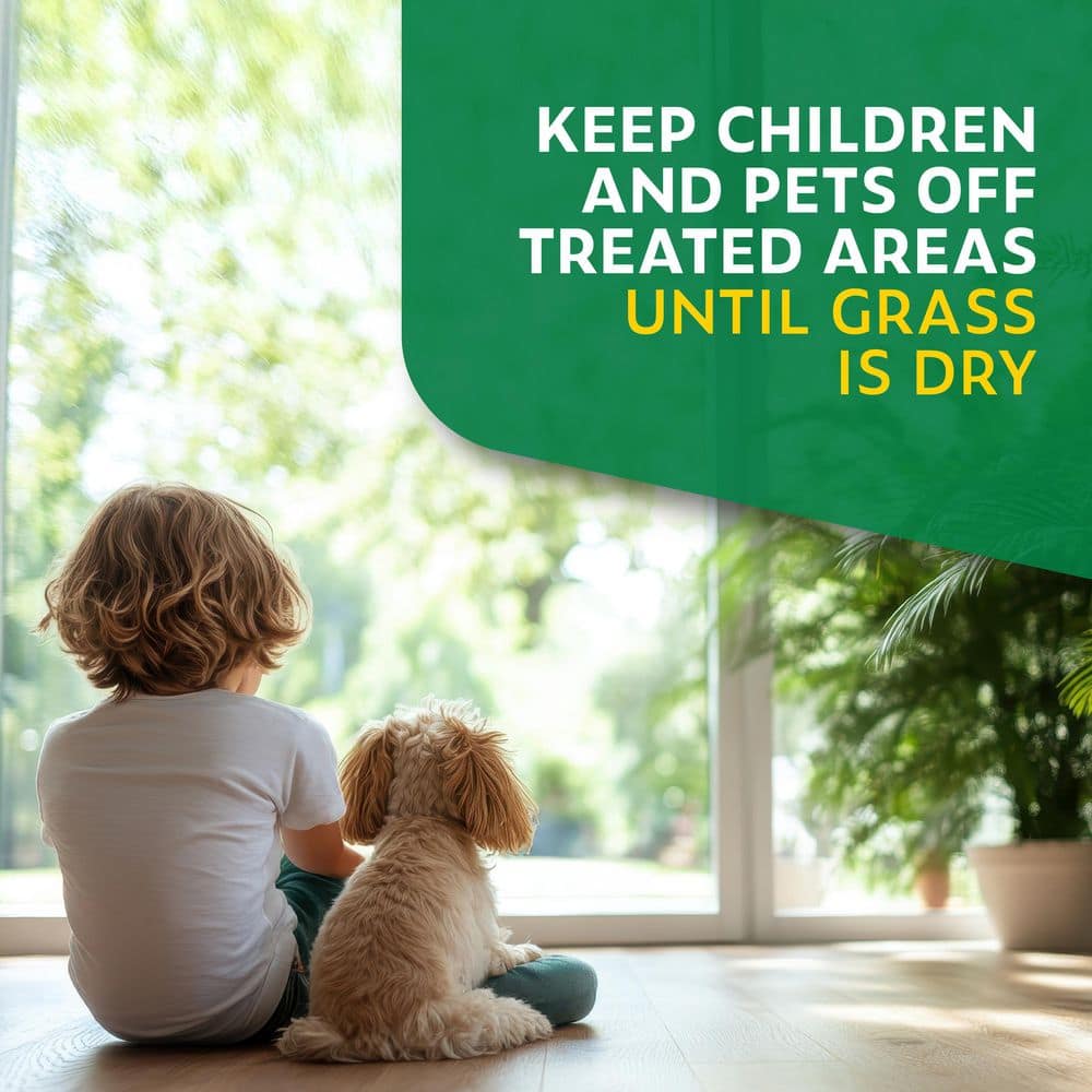 32 oz. 7,500 sq. ft. Spring Ready-to-Spray Concentrate Weed and Feed Lawn Fertilizer - Hercitys