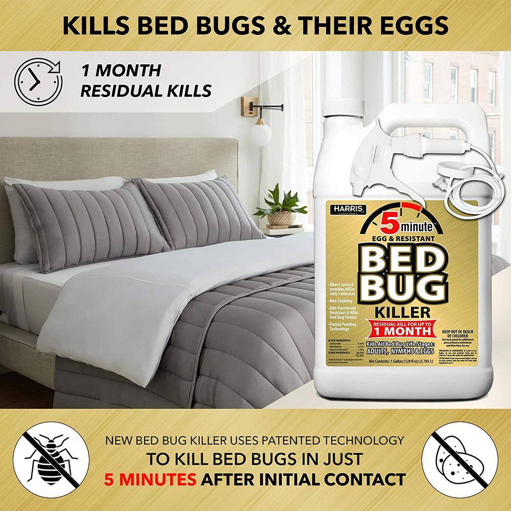 1 Gal. 5-Minute Bed Bug Killer (2-Pack) 256 oz., 32 oz. Professional Spray Bottle and 55 oz. Pump Sprayer Value Pack - Hercitys
