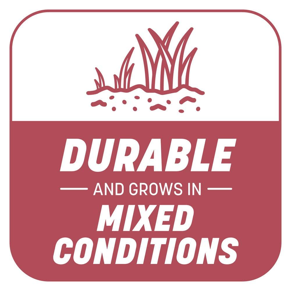 5 lbs. Smart Patch Zoysia Grass Seed with Mulch, Fertilizer - Hercitys