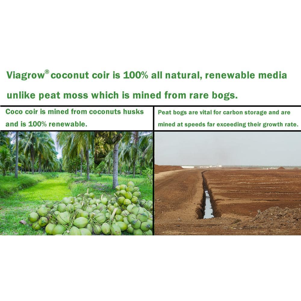 2 Qt. Plastic Nursery Trade Pots with Coconut Coir Growing Media (50-Pack) - Hercitys