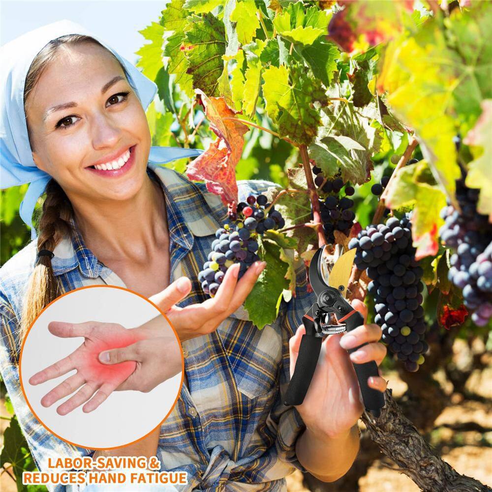 4 in. Stainless Steel Hand Pruner with Japanese Grade Gardening Shears - Hercitys