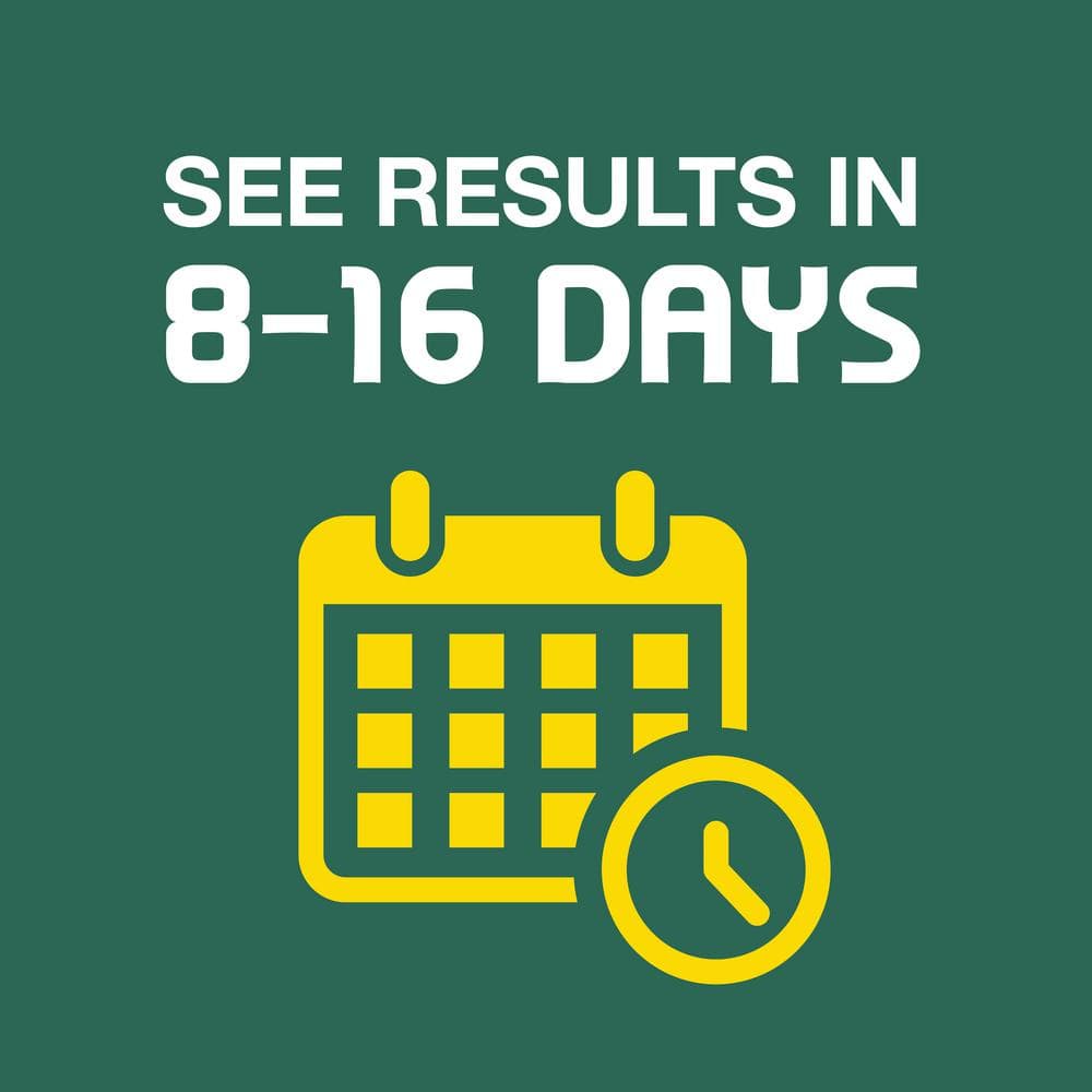 3 lbs. Shady Lawn Grass Seed Mix - Hercitys