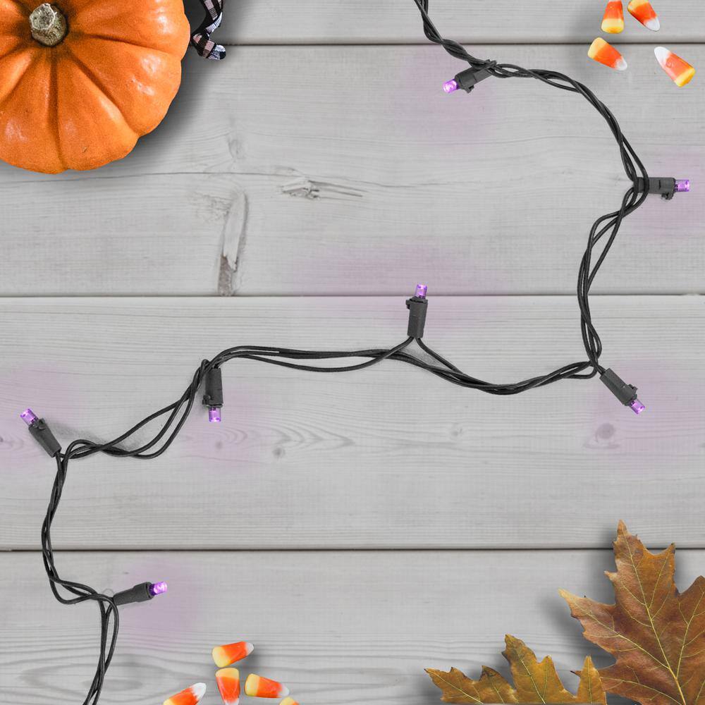 50-Count Wide Angle Purple LED Christmas Lights 16 ft. Black Wire - Hercitys