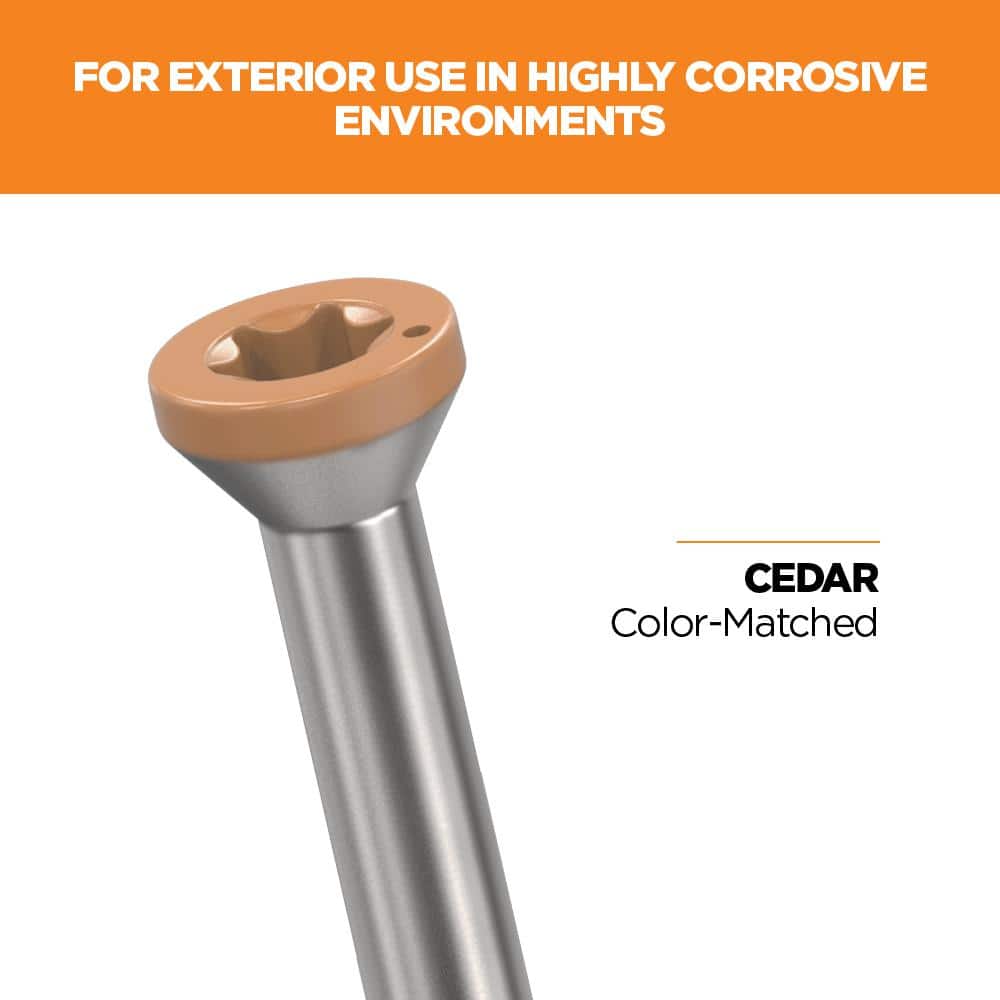 1-5/8 in. #8 316 Stainless Steel Cedar Premium Star Drive Trim Screws (350-Count) - Hercitys