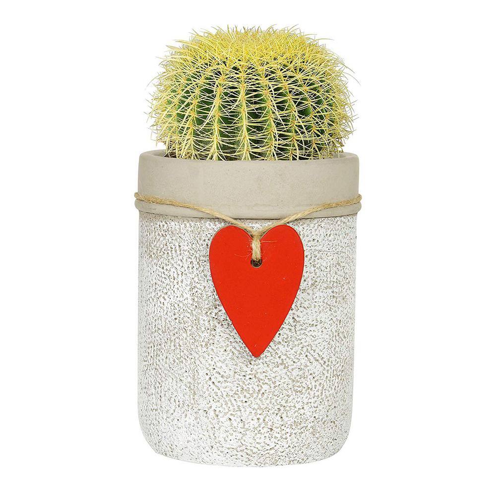 4.75 in. Whitewash Cement Heart Vase Planter - Hercitys