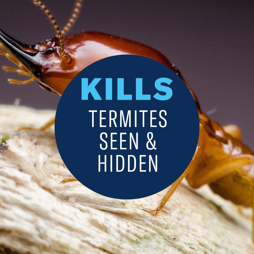 18 oz. Ready-to-Use Termite and Carpenter Bee Insect Killer Foam - Hercitys