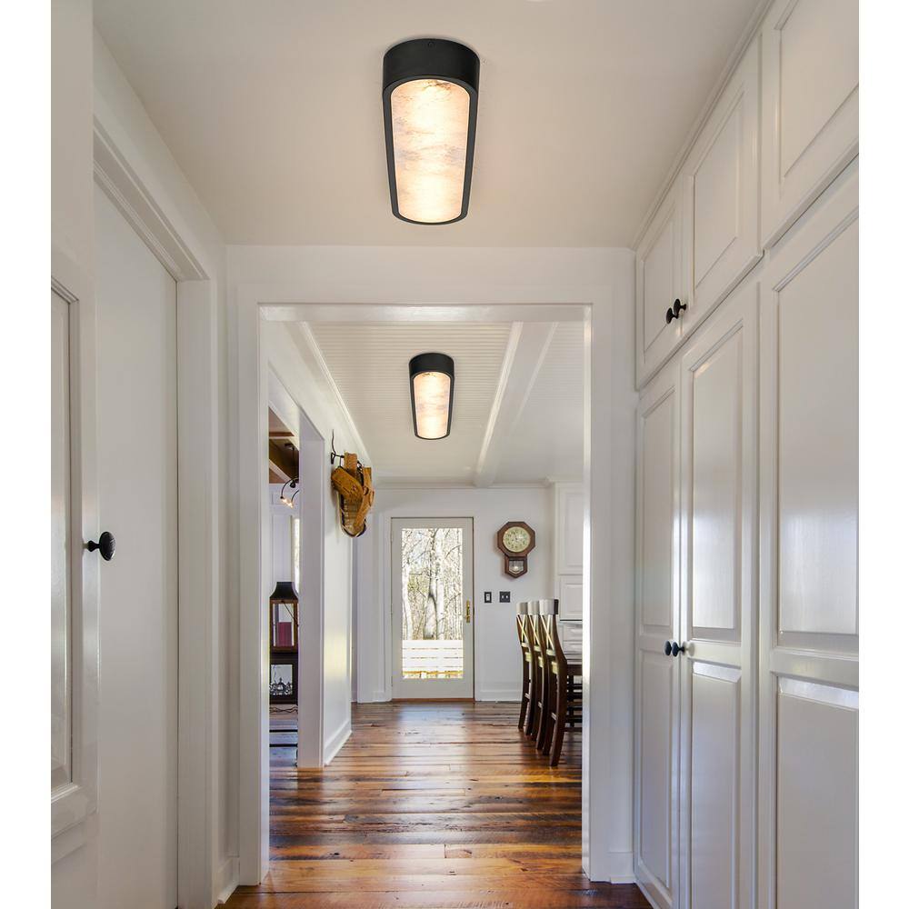 23.62 in. 1-Light Black Oval Integrated LED Flush Mount Ceiling Light - Hercitys