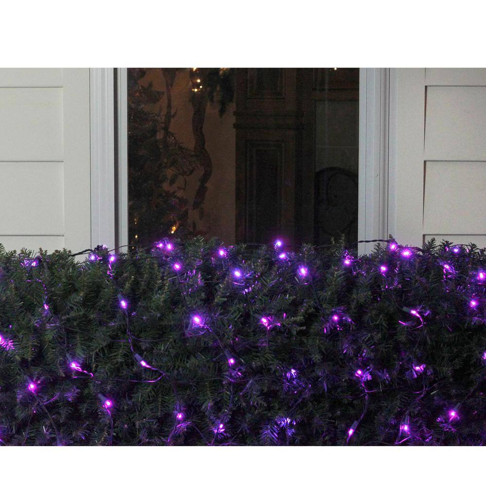 4 ft. x 6 ft. Purple LED Net Style Christmas Lights with Green Wire - Hercitys