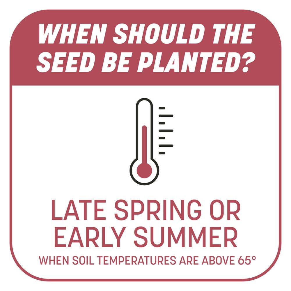 5 lbs. Smart Patch Zoysia Grass Seed with Mulch, Fertilizer - Hercitys